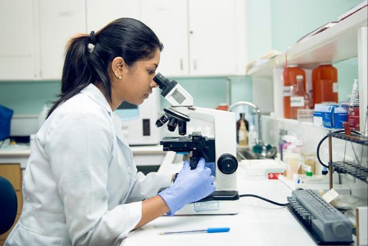 Lab